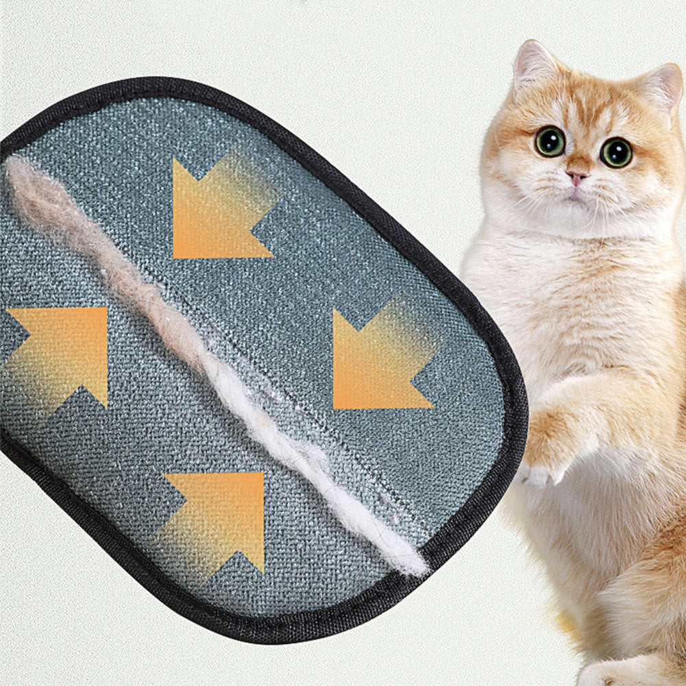 PawGlove